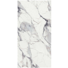 REX Les origines de Rex Origines argent 80x180 mat 10 mm (770434)