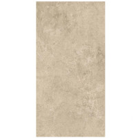 Atlas Concorde Lims Grey 75x150 Matt 9mm (A7HV)