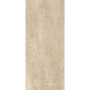 Atlas Concorde Lims Grey 120x278 6 мм (A3EK)