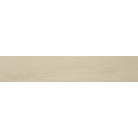 Керамогранит для пола STN Tyler Haya MT 23*120