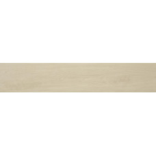 Керамогранит для пола STN Tyler Haya MT 23*120