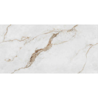 Керамогранит для пола Asia Pasific Avira Statuario Brown Polished 60*120