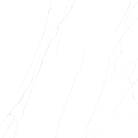 Керамограніт для підлоги Letina Alpha Dione Spider Carving 60*60