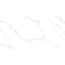 Керамогранит для пола Asia Pasific Statuario Andres (Grisial Crystal) Polished 60*120