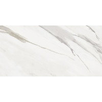 Керамограніт для підлоги ARGENTA Nesta White Silk RC 60*120