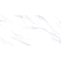 Керамограніт для підлоги Letina Botanic White Carving 60*120