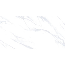 Керамогранит для пола Letina Botanic White Carving 60*120
