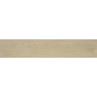 Керамограніт для підлоги STN Tyler Roble MT 23*120