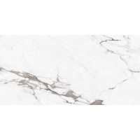 Керамограніт для підлоги Asia Pasific Statuario Bottega Silver Polished 60*120