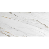 Керамогранит для пола Bluezone Alpha Satvario GOLD CARVING 60*120