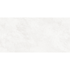 Керамогранит для пола Alice Tiles Raizer Silver Matt 60*120