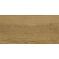 Керамічна плитка для стін CERAMICA COLOR Oak Honey (Intense Wood) Rett. (CCR34-1) 30*60