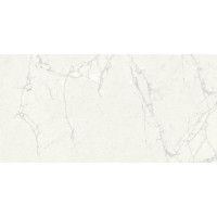 Керамограніт для підлоги Letina Lemosa Grey Carving 60*120