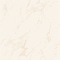 Керамограніт для підлоги Asia Pasific Marble Soluble Salt 60*60