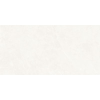 Керамограніт для підлоги PAMESA Firenze Blanco Polished 60*120