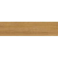 Керамограніт для підлоги STAR GRES Marsylia/Canadian Wood Honey (SGR134-1) 15,5*62
