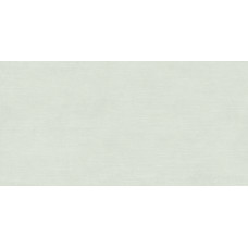 Керамическая плитка для стен ARGENTA Ikon Sage Mate RC 60*120
