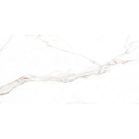 Керамограніт для підлоги Letina Alpha Montesa White Carving 60*120