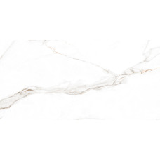 Керамогранит для пола Letina Alpha Montesa White Carving 60*120
