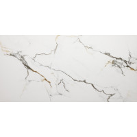 Керамогранит для пола Bluezone Satvario Froxen GOLD CARVING 60*120