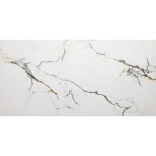 Керамогранит для пола Bluezone Satvario Froxen GOLD CARVING 60*120 Керамогранит для пола Bluezone Satvario Froxen GOLD CARVING 60*120
