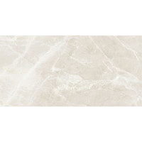 Керамограніт для підлоги PRISSMACER Fior Di Bosco Sand Polished 60*120