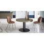 Fiandre MarbleLabCalacattaStatuarioSemilucidato60х60(AS192X860)