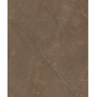 Fiandre MarbleLabGlamBronzeLucidato 120x60 lucidato 8мм(AL198X864)