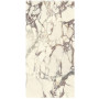 Fiandre MarbleLab BrecciaMirabile Semilucidato120x608mm(AS282X864)