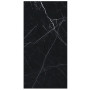 Ariostea Marmi-classici Nero Marquinia 120х60 L 8мм (PL612547)