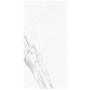 Ariostea Marmi-classici Statuario Classico 120х60 L 8мм (PL612516)