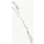 Ariostea Marmi-classici Statuario Classico 120х60 SO R9 8мм (P612516)