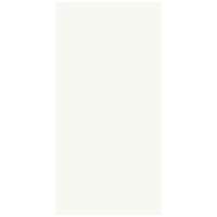Ariostea Marmi-classici Thassos 120х60 L 8мм (PL612554)