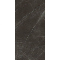Fiandre MarmiMaximumPietraGrey250х100(MMS3261025)