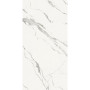 Fiandre MarmiMaximumCalacattaBellissimo250х100(MML5661025)