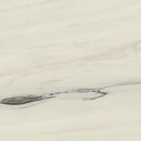 Atlas Concorde Marvel Dream Bianco Fantastico 60x60 Matt (AL2J)