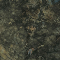Atlas Concorde Marvel Dream Brazil Green 75x75 Lappato (AL2H)