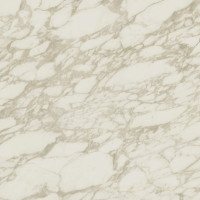 Atlas Concorde Marvel Edge Royal Calacatta 120x120 Lappato 9mm (AENP)