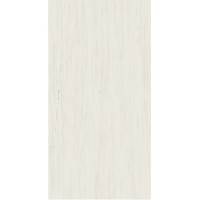 Atlas Concorde Marvel Bianco Dolomite 120х278х6 (A0BP)