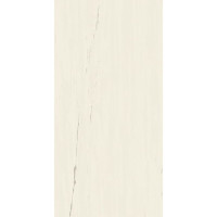 Atlas Concorde Marvel Bianco Dolomite 60 x 120 Matt (A21C)