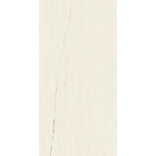Atlas Concorde Marvel Bianco Dolomite 60 x 120 Matt (A21C)