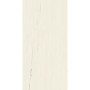 Atlas Concorde Marvel Bianco Dolomite 60 x 120 Matt (A21C)