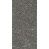 Atlas Concorde Marvel Grey Stone 60x120 Matt 9мм (A209)