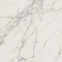 Atlas Concorde Marvel Calacatta Extra 120x120 Matt 9mm (A20Y)