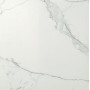 Atlas Concord Marvel Calacatta extra 60x60 Lapatto (7N3O)