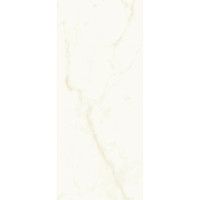 Atlas Concorde Marvel Calacatta Delicato 50x120 Silk (A4TT)