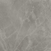 Atlas Concorde Marvel Pro Grey Fleury 120x120 9 мм Lappato (A21O)