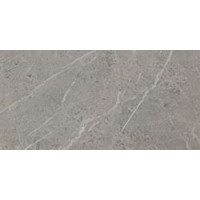 Atlas Concorde D105 (ADT8) MARVEL PRO GREY FLEURY RT