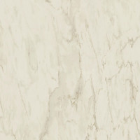 Atlas Concorde Marvel Pro Cremo Delicato 120x120 9 мм Matt (A206)