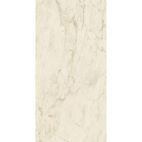 Atlas Concorde Marvel Pro Cremo Delicato 120x240 9 мм Lappato (AY2Q)